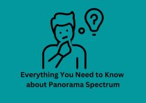 Everything You Need to Know about Panorama Spectrum